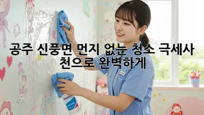 공주 신풍면 먼지 없는 청소: 극세사 천으로 완벽하게!