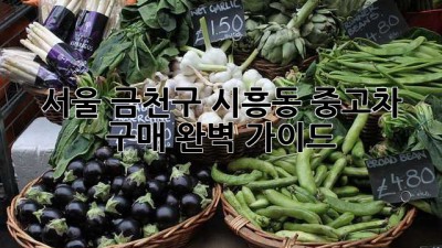 서울 금천구 시흥동 중고차 구매 완벽 가이드