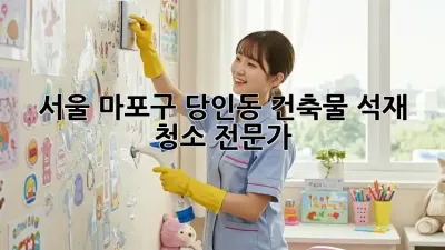 서울 마포구 당인동 건축물 석재 청소 전문가